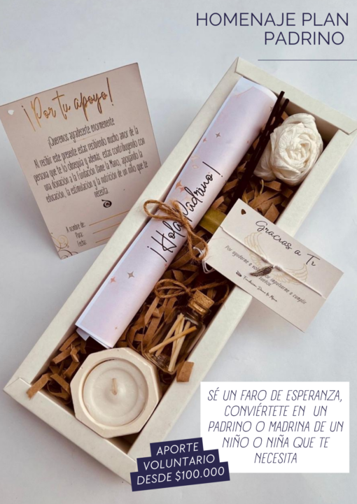 Homenaje Plan Padrino